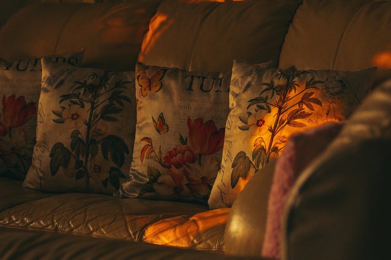 Renewed Interiors